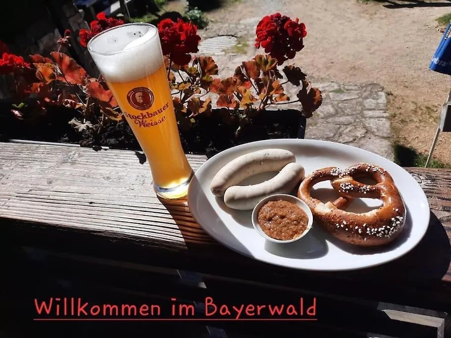 Lejlighed Musik Und Natur - Balboo - Bayrischer Wald - Sauna - Pool - Grillen Spiegelau