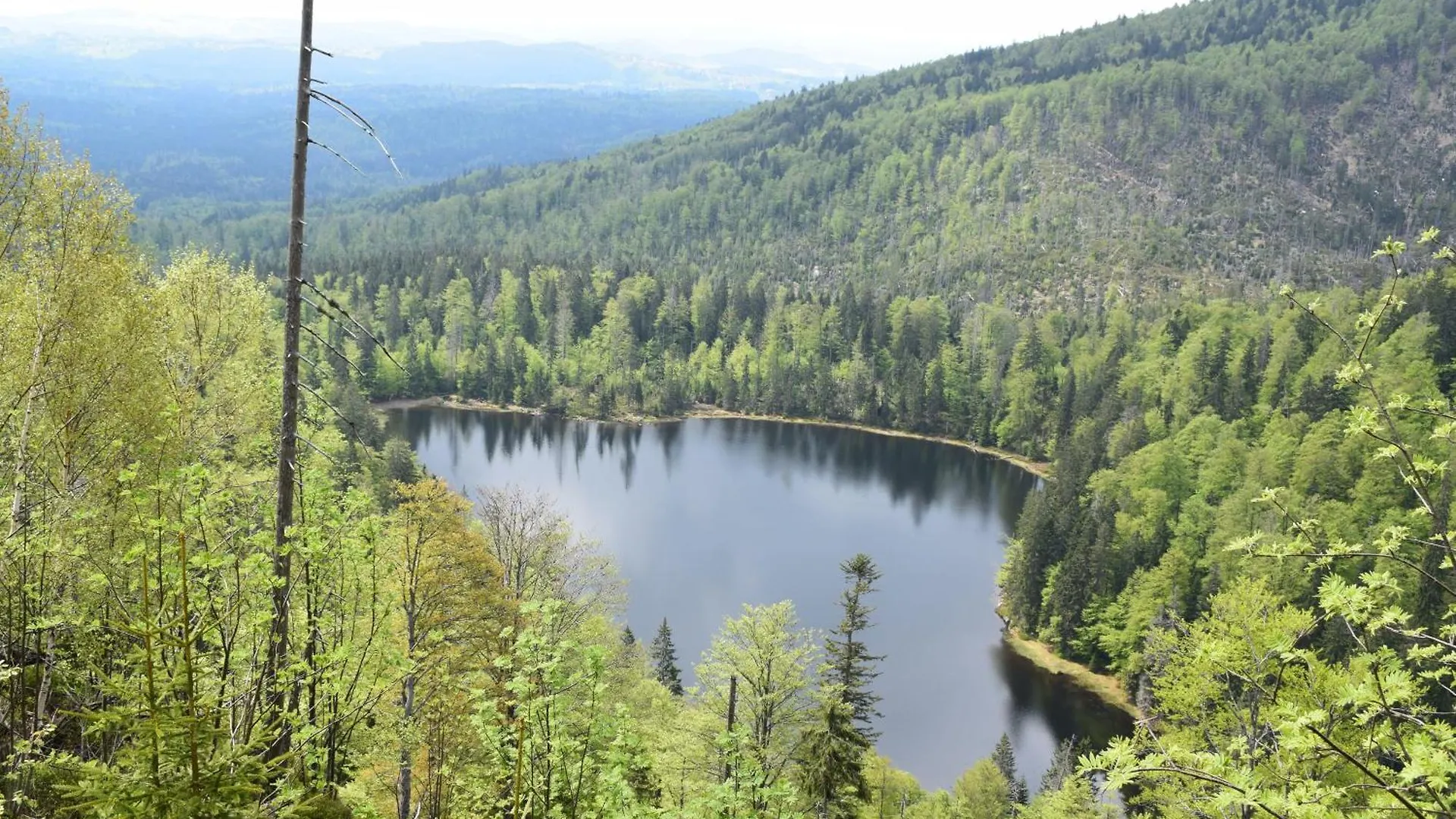 Lejlighed Musik Und Natur - Balboo - Bayrischer Wald - Sauna - Pool - Grillen Spiegelau Tyskland